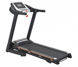 Беговая дорожка Royal Fitness RF-5