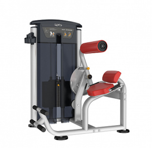 Разгибание спины AeroFit IT9532