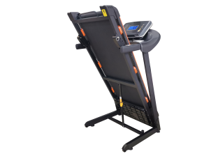 Беговая дорожка Royal Fitness RF-6